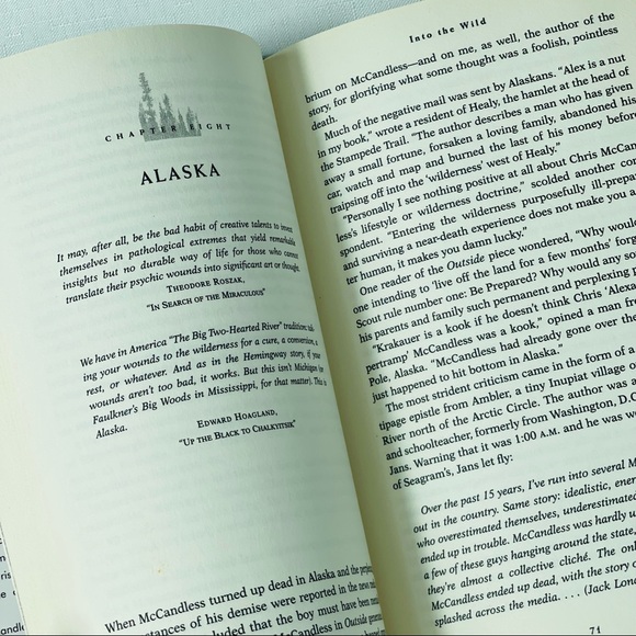 HARDCOVER BOOK  Into The Wild by Jon Krakauer college read, beach book escape - Picture 3 of 5